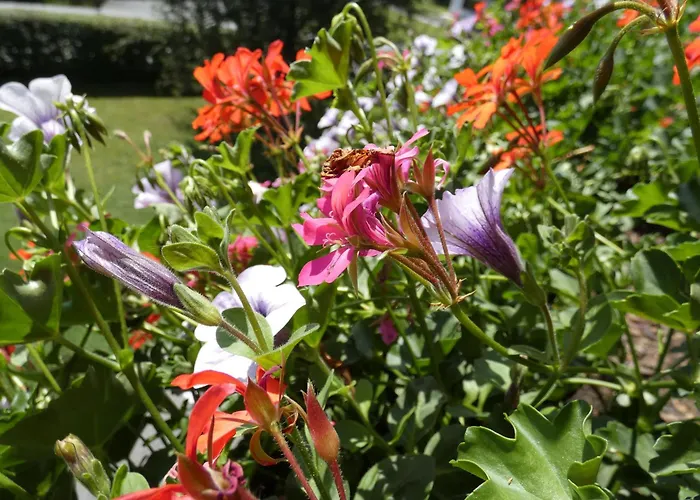 Familie Foidl Bairerbauer Оберндорф (Тироль)